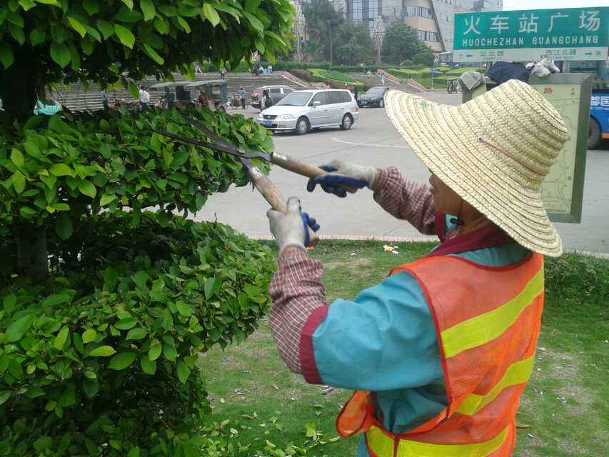 教你养护仿真草坪